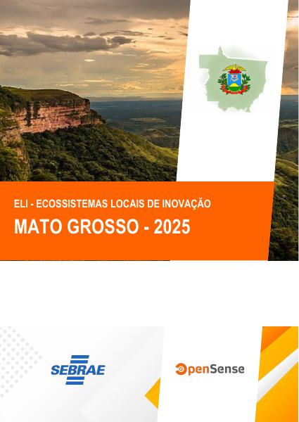 Capa oficial do Relatório ELI MT 2025